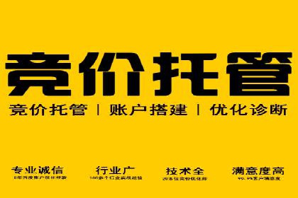 百度推广操作指南：案例解析